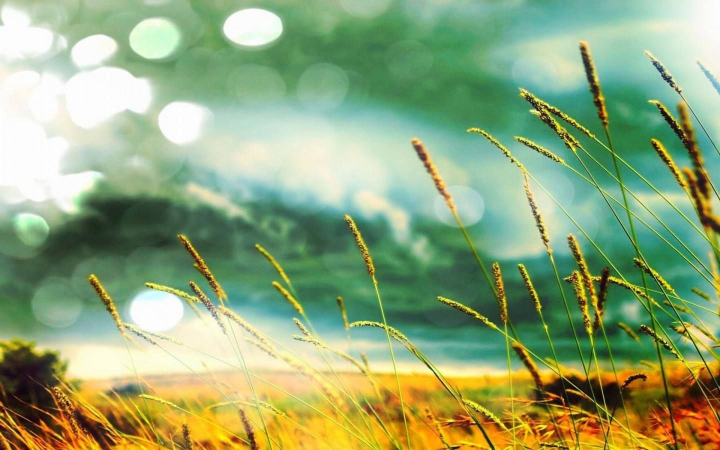 1487673043362311.jpg 3.jpg